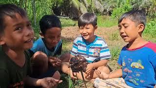 LUAR BIASA!!!petualangan Adit Mamet dan teman"berburu menyawak dapetnya manuk langsung mukbang