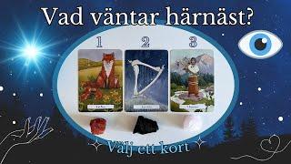 Vad väntar härnäst? ⭐️🩷 TAROT  PICK A CARD 