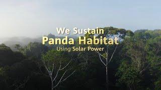 Sustaining a Panda Habitat with Solar Power: Huawei and Ditrolic Energy
