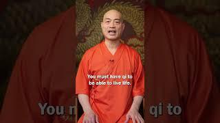 Shaolin master explains CHI/Qi. #martialarts #shaolin #kungfu