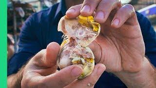 18 Day Chicken Balut in Cebu City + Colon Street Food Tour!