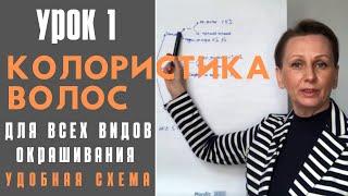 Колористика волос схематично и понятно | Урок 1