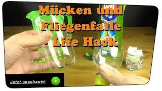 Beste Mücken und Fliegenfalle selber bauen - Life Hack | DIY