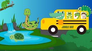 Explore Amazing Creatures | Fun Kids Bus Tour to Zoo Reptiles & Amphibians | Wheels on the Bus