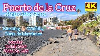 Tenerife ️ Puerto de la Cruz Morning 22 July 2024