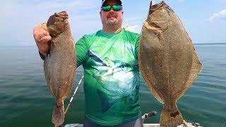 Hooking into GIANT FLUKE!! ** Long Island Sound **