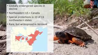 The Fascinating Lives of Wood Turtles - Ecology and Conservation of a Rare Turtle in Vermont