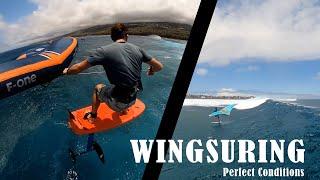 Wingfoil in waves (perfect conditions)