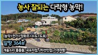 #525 [송해면농막], 토지364㎡, 양오리, 공들여 잘 가꾼 텃밭과 다락형 농막을 싼값에 처분합니다.