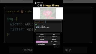 CSS Image Filters #css  #tutorjoes