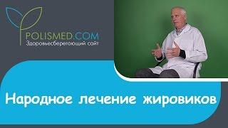 Народное лечение липомы: луком, йодом, свеклой, чесноком, перекисью водорода, чистотелом, корицей