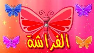 الفراشة - قناة بيبي الفضائية | Toyor Baby Channel