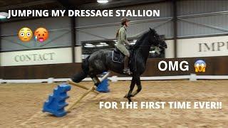 JUMPING MY BEAUTIFUL BLACK DRESSAGE STALLION FOR THE FIRST TIME EVER!!!!