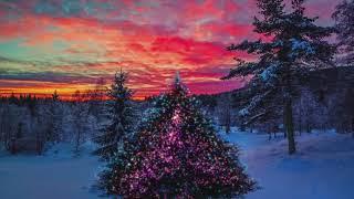 Whishing You a Joyful Christmas - Love, The Rollo Paterson Channel