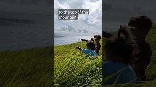to the top of the mountain!