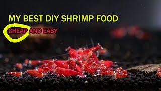 DO IT YOURSELF SHRIMP FOOD - cheap and easy home made food