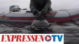 Norrbotten: Otroliga fyndet - på 75 meters djup i fjällsjö