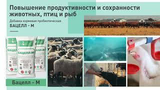 Презентационный фильм о компании ООО Биотехагро