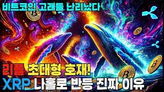 리플이 XRP 했다!