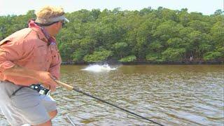 Monster Tarpon Fish on Plugs in Florida Everglades National Park