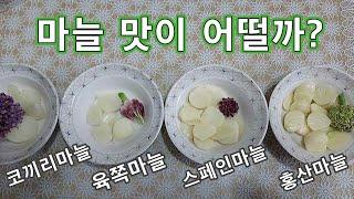 코끼리마늘 / 홍산마늘 맛은 어떨까?