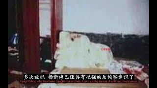 三年杀害67人！最疯狂的罪犯杨新海