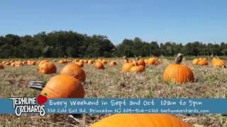 Fall Family Festival Weekends at Terhune Orchards