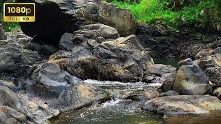 Relaxing River Sounds for Sleepig, River White Noise Sounds for Reduce Stress, Relax, Sleep