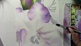 How to paint flowers in watercolor and soften the  brushstroke