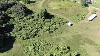 Crooked Tree Belize - By Drone