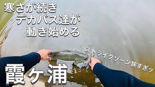 【霞ヶ浦水系】晩秋に40up連発【バス釣り】