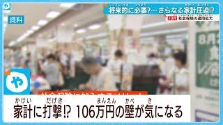 10月から適用拡大  社会保険料「年収106万円の壁」 働き方どうする…