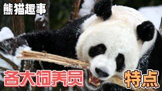 熊猫趣事，盘点各大动物园熊猫饲养员的特点#熊猫 #panda