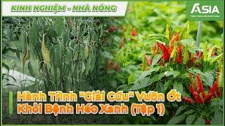Phòng Trừ Héo Xanh Vườn Ớt  - Tập 1| Sinh Học Châu Á