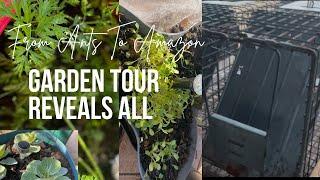 From Ants to Amazon: Coon Trap Ready + Garden Tour Reveals All