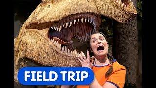 Dinosaur Discoveries! | Caitie's Classroom Field Trip | Nature Museum for Kids