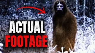 LEAKED: 2025 Bigfoot Footage They TRIED to Delete