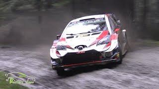 WRC Wales Rally GB 2019 MAX ATTACK | Devillersvideo