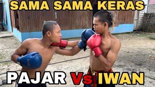 Pertandingan Tinju Pajar Vs Iwan Sangat Seru!