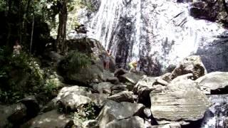 La Coca Falls in El Yunque Puerto Rico