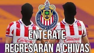 ENTÉRATE JUGADORES QUE REGRESAN a chivas | noticias chivas hoy | refuerzos chivas | rumores chivas