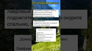 Помощь от комаров и мошек !! #дача#деревня#рыбалка #пикник#шашлык#отдых #дети#дом#лето