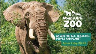  Our Vision For The Future of Noah's Ark Zoo Farm 