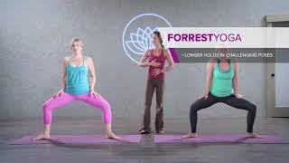 What is Forrest Yoga? The Styles of Yoga Explained