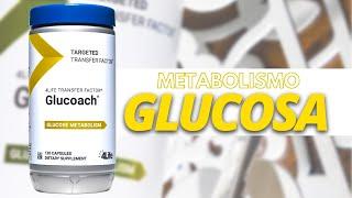 4Life Transfer Factor – Respaldo al equilibrio saludable de la Glucosa