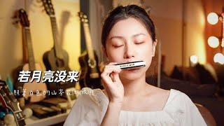 Classic Song 'If the Moon Hasn't Come' by Yuan Yuan on Harmonica