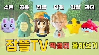 마크 잠뜰TV 픽셀리 만들기 최종편 -공룡 잠뜰 덕개 각별 수현 라더