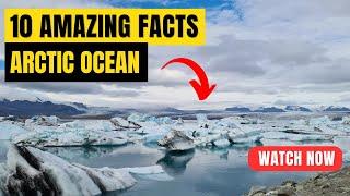 10 Arctic Ocean Facts You Must Know !