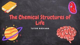 The Chemical Structures Of Life-AP Biology