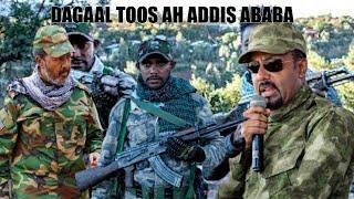 DEG DEG: DAGAAL KA SOCDA ADDIS ABABA, SOMALIYA OO TAAGEERTAY JABHADA FAANO, WARARKII UGU DAMBEEYAY..